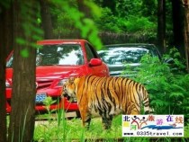 秦皇島野生動物園景點門票優(yōu)惠88元起團，一人也成團，團隊更優(yōu)惠，咨詢電話0335-3522599: